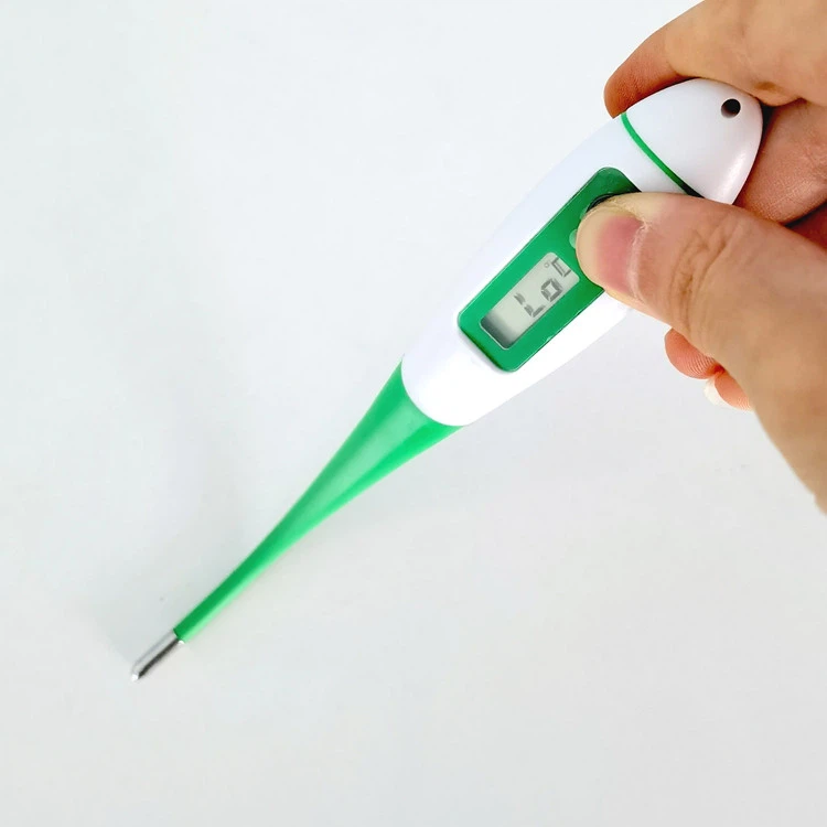 flexible tip of Veterinary thermometer.jpg flexible tip of Veterinary thermometer.jpg