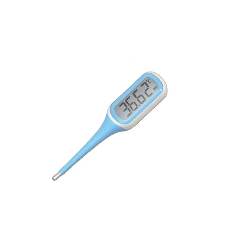 bule 8s digital thermometer