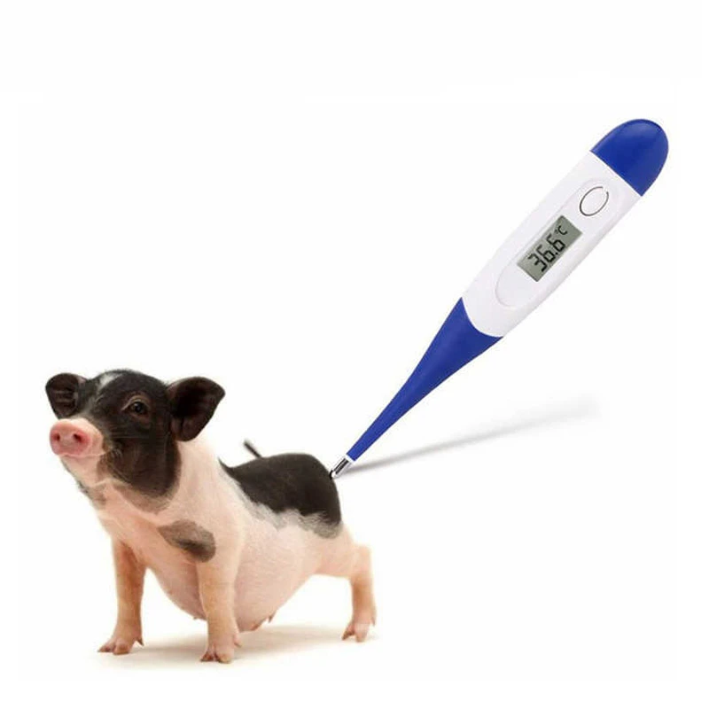 Poultry Farm Thermometer Poultry Farm Thermometer