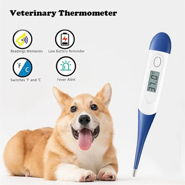 Thermometers Veterinary