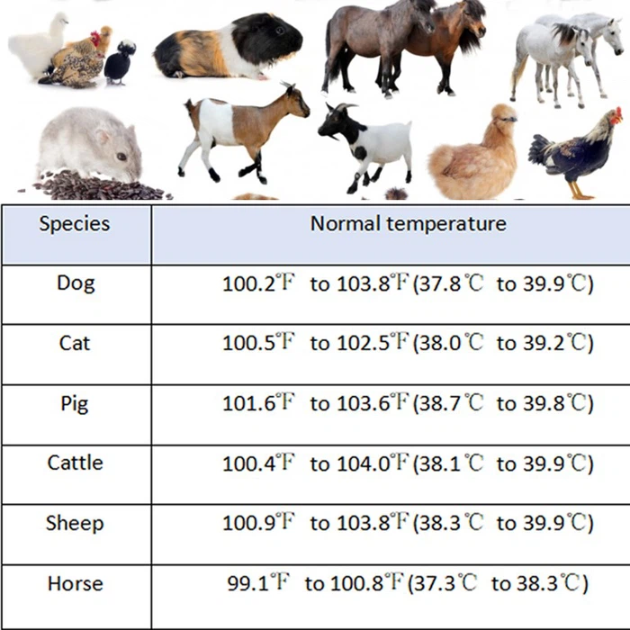 veterinary use thermometer veterinary use thermometer