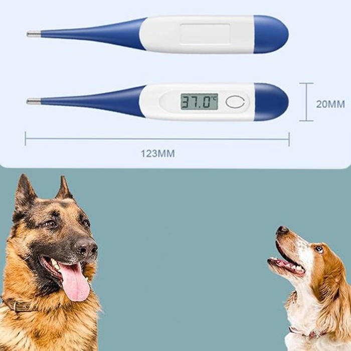 veterinary digital thermometer veterinary digital thermometer