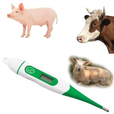 Digital Veterinary Thermometer