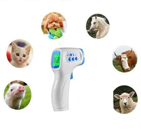 Veterinary Clinical Thermometer