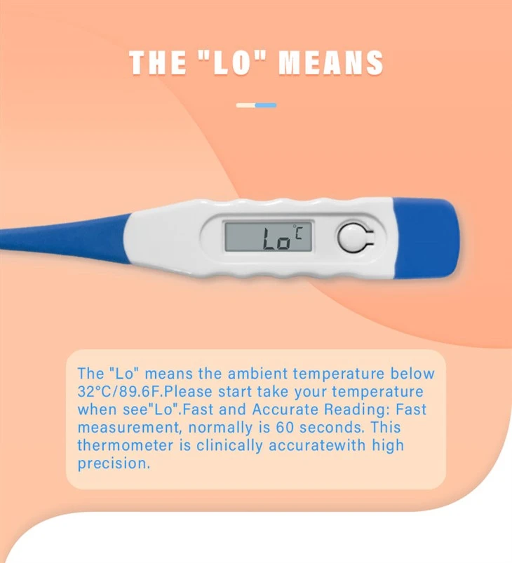 Flexible Thermometer