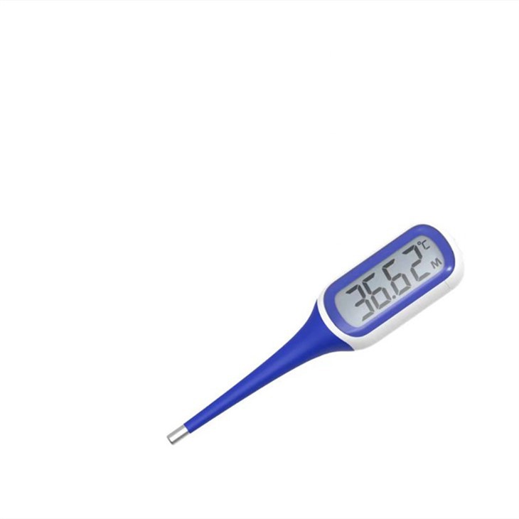Oral Thermometer best